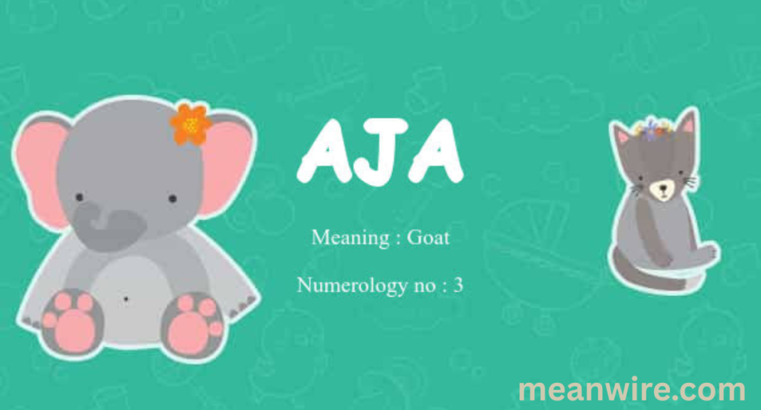 aja meaning