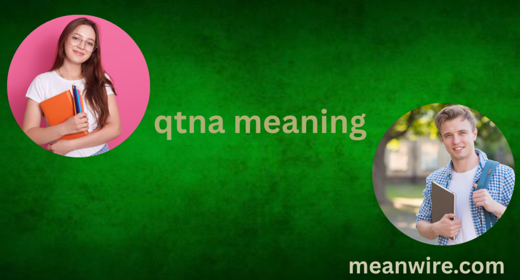 QTNA Meaning The Internet Slang Everyone Needs to Know