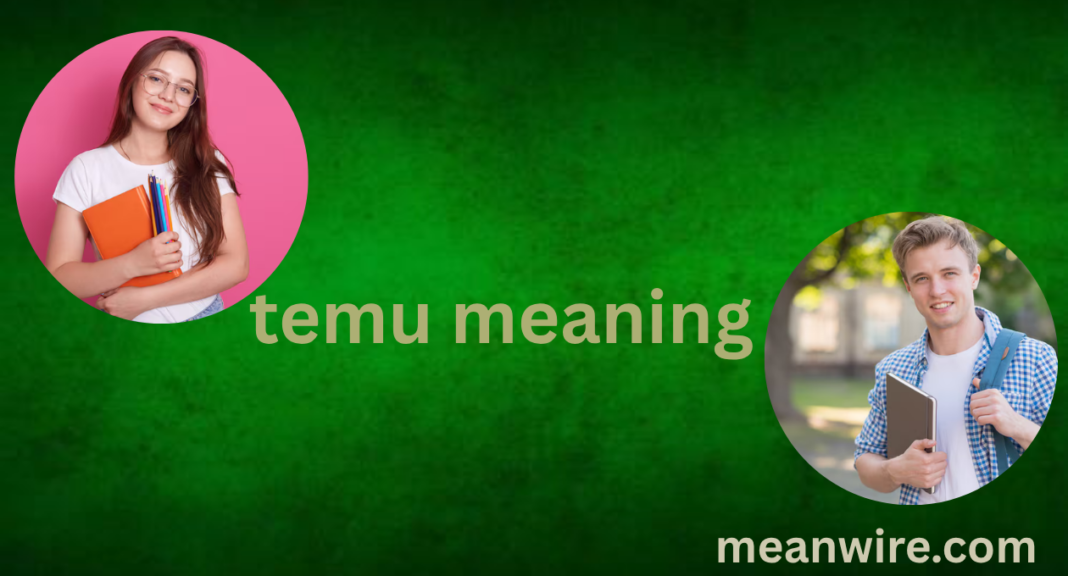 temu meaning