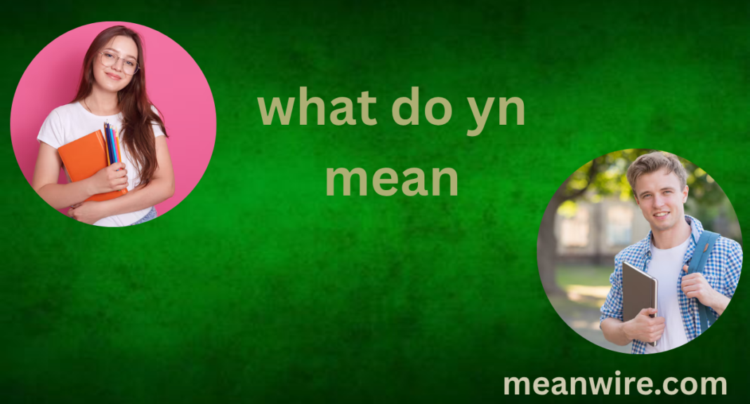 What Does YN Mean? The Internet Slang Everyone Uses